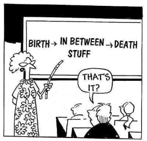 The Meaning of Life